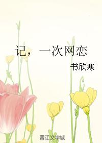 记,一次网恋